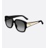 DiorGlow S2I Black Square Sunglasses