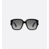 DiorGlow S2I Black Square Sunglasses