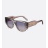 DiorSignature S15I Transparent Mink Gray Rectangular Sunglasses