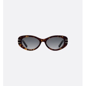 DiorSignature B8U Brown and Honey Tortoiseshell-Effect Oval Sunglasses