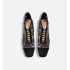 Naughtily-D Heeled Ankle Boot Transparent Mesh with Black Dior Roses Embroidery and Suede Goatskin