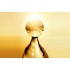 J'adore l'Or 50mL