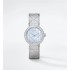 La D My Dior Ø 25 MM, Steel, Gray Mother-Of-Pearl and Diamonds
