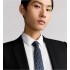 Dior Oblique Pixel Tie Blue, Navy Blue and White Silk