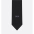 Dior Oblique Tie  Black Silk