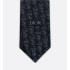 Striped Dior Oblique Tie Gray and White Silk