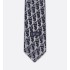 Striped Dior Oblique Tie  Striped Dior Oblique Tie