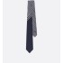Striped Dior Oblique Tie  Striped Dior Oblique Tie
