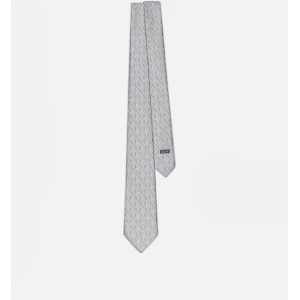 CD Diamond Tie  Dior Gray Silk