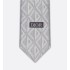 CD Diamond Tie  Dior Gray Silk