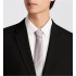 Striped Dior Oblique Tie  Gray and Light Gray Silk    